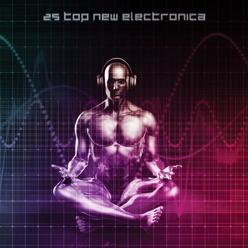 VA - 25 Top New Electronica [10247661]